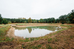 Działka na sprzedaż 12000m2 żyrardowski Radziejowice Podlasie - zdjęcie 3