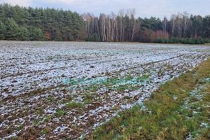 Działka na sprzedaż żyrardowski Puszcza Mariańska Wygoda - zdjęcie 2