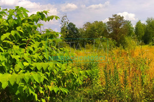 Dom na sprzedaż 120m2 grodziski Grodzisk Mazowiecki - zdjęcie 2