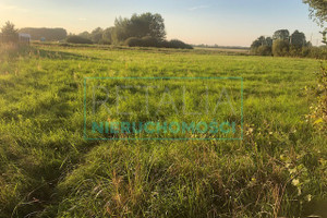 Działka na sprzedaż grodziski Grodzisk Mazowiecki Książenice - zdjęcie 3