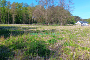 Działka na sprzedaż 6680m2 grodziski Grodzisk Mazowiecki Opypy - zdjęcie 3