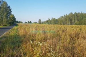 Działka na sprzedaż 2000m2 grodziski Żabia Wola Słubica A - zdjęcie 1