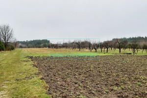 Działka na sprzedaż 12149m2 żyrardowski Mszczonów Adamowice - zdjęcie 4