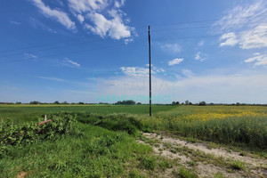 Działka na sprzedaż 3600m2 grodziski Grodzisk Mazowiecki Chlebnia - zdjęcie 4