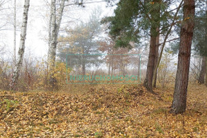 Działka na sprzedaż 21811m2 grodziski Grodzisk Mazowiecki Janinów - zdjęcie 1