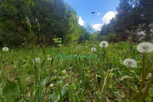 Działka na sprzedaż 1768m2 pruszkowski Nadarzyn - zdjęcie 3