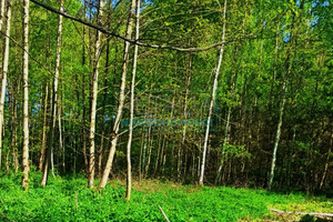 Działka na sprzedaż 5527m2 grodziski Żabia Wola Piotrkowice - zdjęcie 1