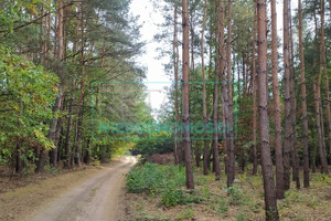 Działka na sprzedaż żyrardowski Radziejowice Kuklówka Zarzeczna - zdjęcie 1