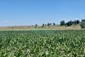 Działka na sprzedaż 30000m2 grodziski Grodzisk Mazowiecki - zdjęcie 4