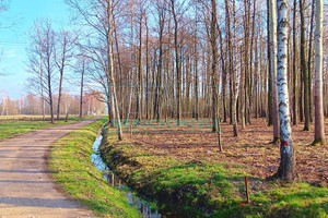 Działka na sprzedaż 8700m2 grodziski Jaktorów - zdjęcie 2