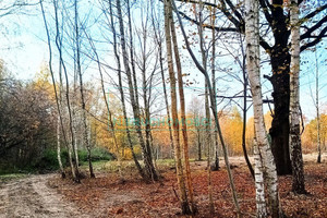 Działka na sprzedaż grodziski Grodzisk Mazowiecki Radonie - zdjęcie 1