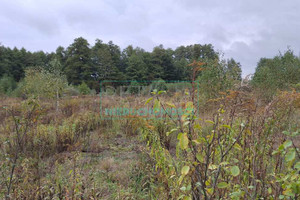 Działka na sprzedaż 37900m2 grodziski Jaktorów Bieganów - zdjęcie 3