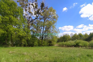 Działka na sprzedaż 7927m2 grodziski Grodzisk Mazowiecki Chrzanów Mały - zdjęcie 1