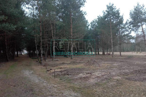 Działka na sprzedaż 6746m2 żyrardowski Mszczonów Bronisławów - zdjęcie 2