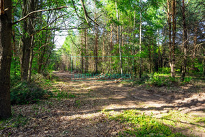 Działka na sprzedaż 3500m2 żyrardowski Mszczonów Pieńki Osuchowskie - zdjęcie 3