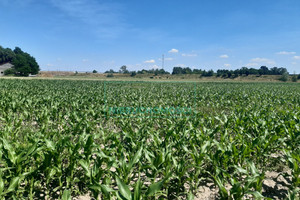 Działka na sprzedaż 58000m2 grodziski Grodzisk Mazowiecki - zdjęcie 3