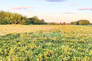 Działka na sprzedaż 1000m2 warszawski zachodni Ożarów Mazowiecki Święcice - zdjęcie 1