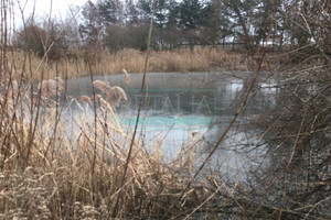 Działka na sprzedaż 38400m2 pruszkowski Brwinów Kotowice - zdjęcie 1