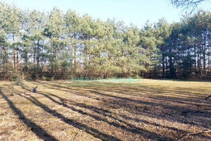 Działka na sprzedaż 5600m2 grodziski Jaktorów - zdjęcie 3