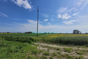 Działka na sprzedaż 3600m2 grodziski Grodzisk Mazowiecki Chlebnia - zdjęcie 3