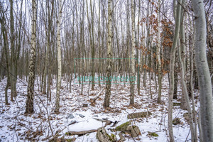 Działka na sprzedaż 18603m2 grodziski Żabia Wola Ojrzanów - zdjęcie 2