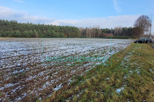 Działka na sprzedaż żyrardowski Puszcza Mariańska Wygoda - zdjęcie 1