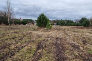 Działka na sprzedaż 3800m2 oleśnicki Dobroszyce Malerzów - zdjęcie 1