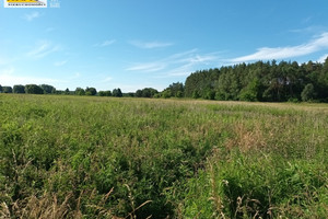 Działka na sprzedaż Szczecin Wielgowo-Sławociesze-Zdunowo - zdjęcie 1