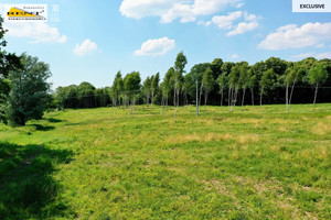 Działka na sprzedaż 1547m2 gryficki Karnice Ninikowo - zdjęcie 1