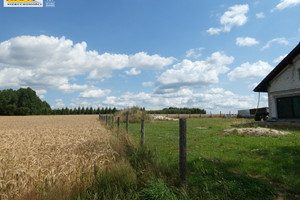 Działka na sprzedaż 1250m2 goleniowski Maszewo Dębice - zdjęcie 3