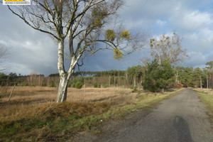 Działka na sprzedaż 1562m2 goleniowski Goleniów Miękowo - zdjęcie 2