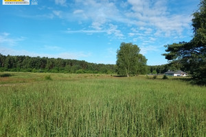 Działka na sprzedaż 4830m2 Szczecin Wielgowo-Sławociesze-Zdunowo - zdjęcie 1