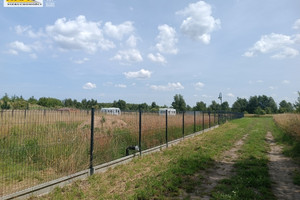 Działka na sprzedaż 2000m2 kamieński Kamień Pomorski Buniewice - zdjęcie 2