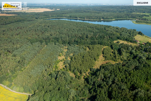 Działka na sprzedaż 11614m2 gryfiński Stare Czarnowo - zdjęcie 1