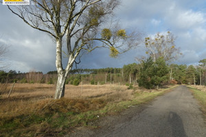 Działka na sprzedaż 1562m2 goleniowski Goleniów Miękowo - zdjęcie 2