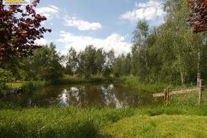 Działka na sprzedaż 8600m2 goleniowski Stepnica Stepniczka Barnima II - zdjęcie 2