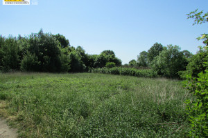 Działka na sprzedaż 3300m2 gryficki Trzebiatów Sadlno - zdjęcie 1