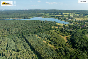 Działka na sprzedaż 42950m2 gryfiński Stare Czarnowo - zdjęcie 1