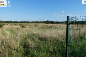 Działka na sprzedaż 3088m2 policki Kołbaskowo Kamieniec - zdjęcie 3