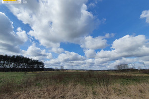 Działka na sprzedaż 11841m2 stargardzki Kobylanka Reptowo - zdjęcie 1