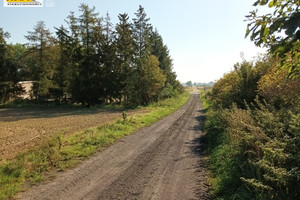 Działka na sprzedaż pyrzycki Bielice Chabowo - zdjęcie 2