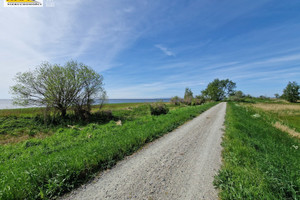 Działka na sprzedaż 17200m2 kamieński Wolin Skoszewo - zdjęcie 3