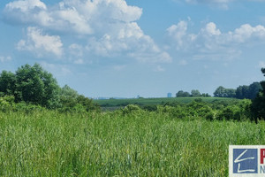 Działka na sprzedaż 2438m2 policki Kołbaskowo Barnisław - zdjęcie 2