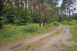 Działka na sprzedaż kamieński Wolin Wisełka - zdjęcie 2