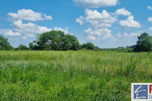 Działka na sprzedaż 2438m2 policki Kołbaskowo Barnisław - zdjęcie 3