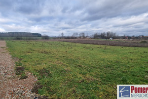 Działka na sprzedaż 1188m2 gryfiński Stare Czarnowo - zdjęcie 2