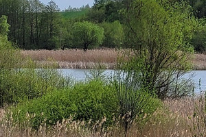 Działka na sprzedaż 1078m2 choszczeński Bierzwnik Zieleniewo - zdjęcie 1