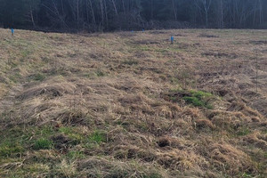 Działka na sprzedaż 1078m2 choszczeński Bierzwnik Zieleniewo - zdjęcie 3