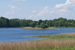 Działka na sprzedaż 3030m2 choszczeński Bierzwnik Zieleniewo - zdjęcie 1