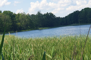 Działka na sprzedaż 3030m2 choszczeński Bierzwnik Zieleniewo - zdjęcie 1